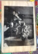 Orchi - Image 2