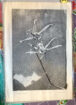 Orchid - Image 2