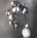 Orchid III